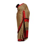 Dotted Gold Saree